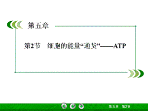 细胞的能量“通货”-ATP.ppt