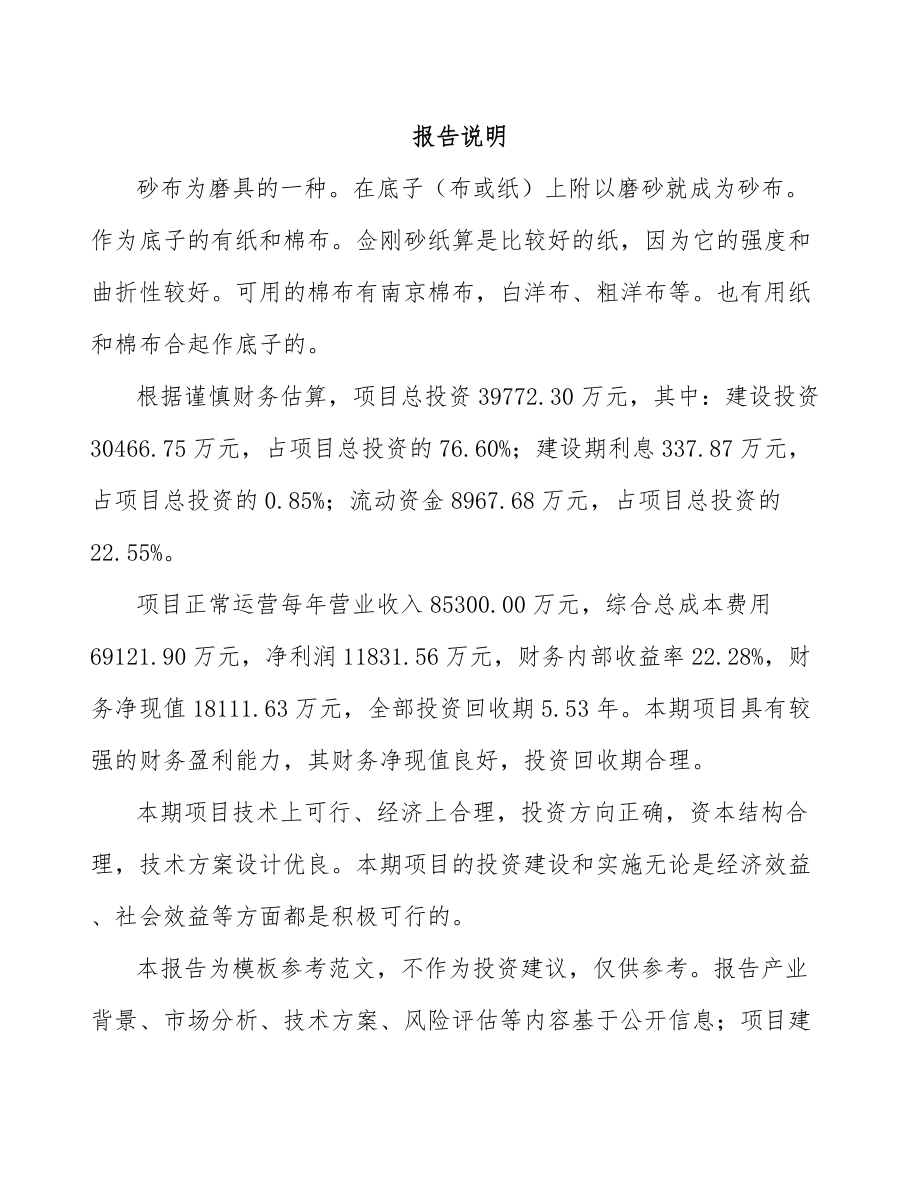 兰州砂布项目可行性研究报告.docx_第2页