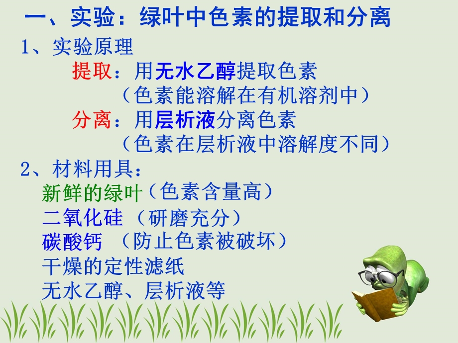 第四节能量之源光与光合作用.ppt_第3页