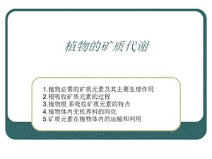 植物的矿质代谢.ppt