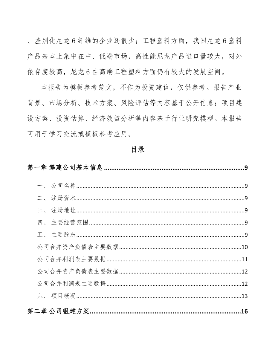 关于成立聚酰胺6切片公司可行性研究报告.docx_第3页