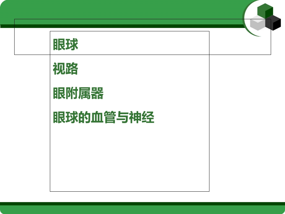 眼的应用解剖与生理.ppt_第2页