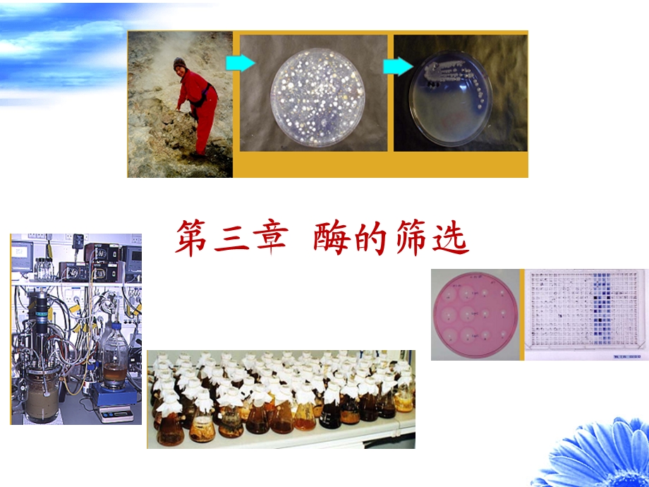 酶的来源与筛选.ppt_第1页