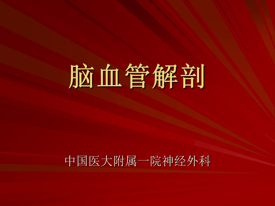 脑血管解剖脑动脉系.ppt_第1页