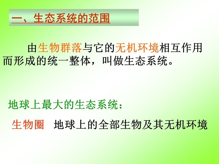 生态系统的结构课件[1].ppt_第3页