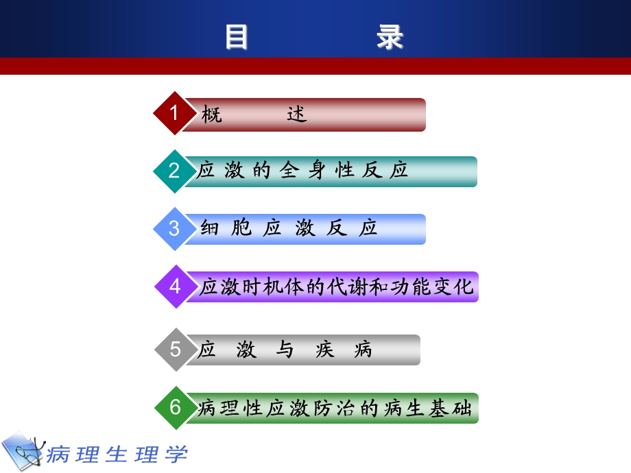 病理生理学9 应激.ppt_第2页