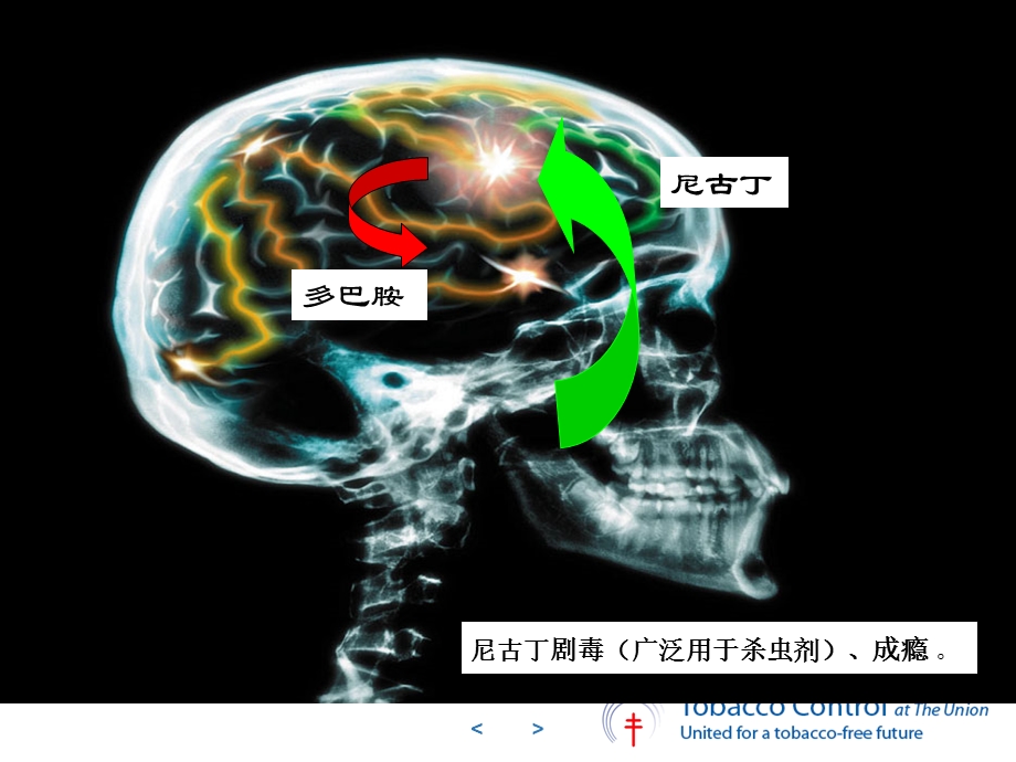 简短戒烟干预培训课件吸烟二手烟的危害及低危害卷烟甘泉.ppt_第2页