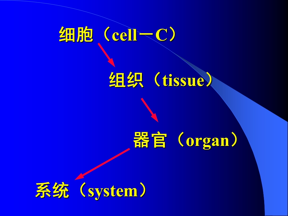 第一章组织学绪论ppt课件.ppt_第3页