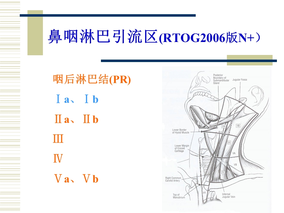 鼻咽癌淋巴引流区定界.ppt_第2页