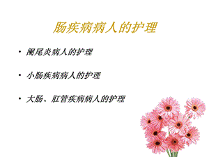 第二十二章阑尾炎病人的护理.ppt