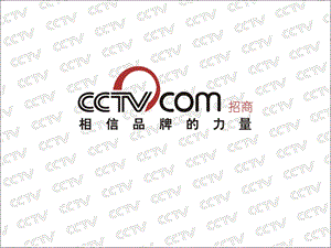 CCTV招商频道招商策划.ppt