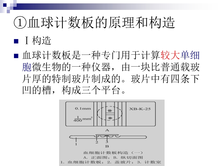 血球计数板的使用.ppt_第3页