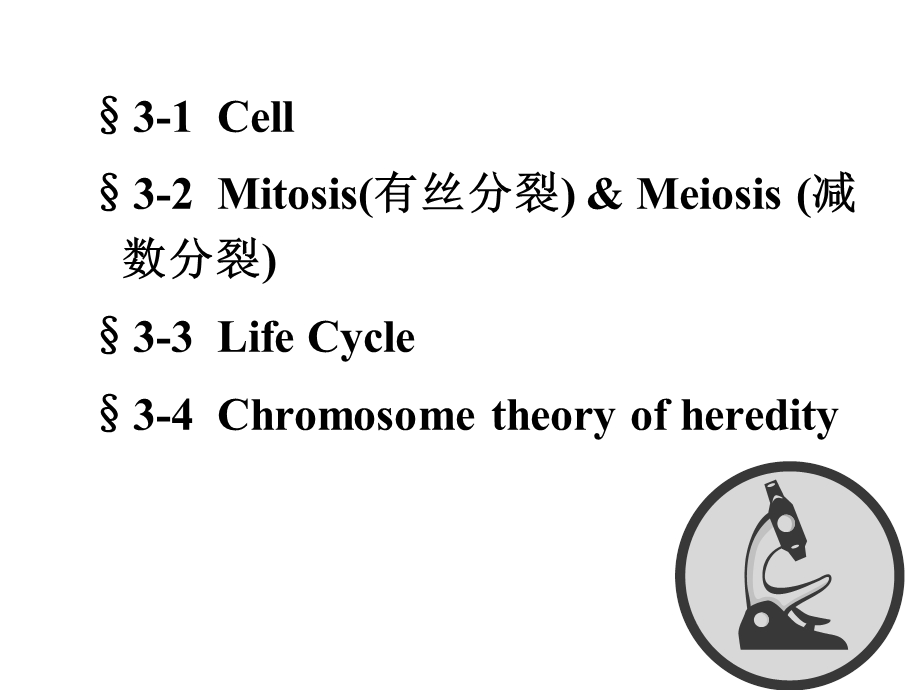 遗传的细胞学基础.ppt_第2页