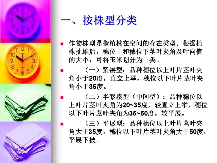 玉米的基本分类.ppt_第3页