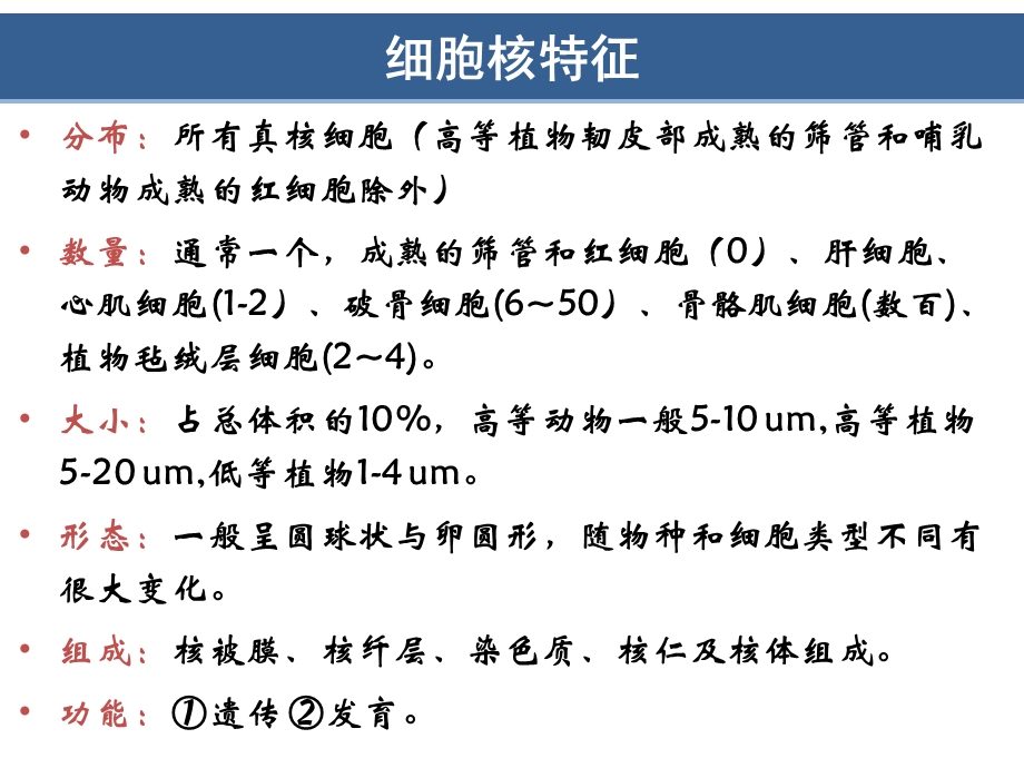 细胞核与染色质(翟中和第四版).ppt_第3页