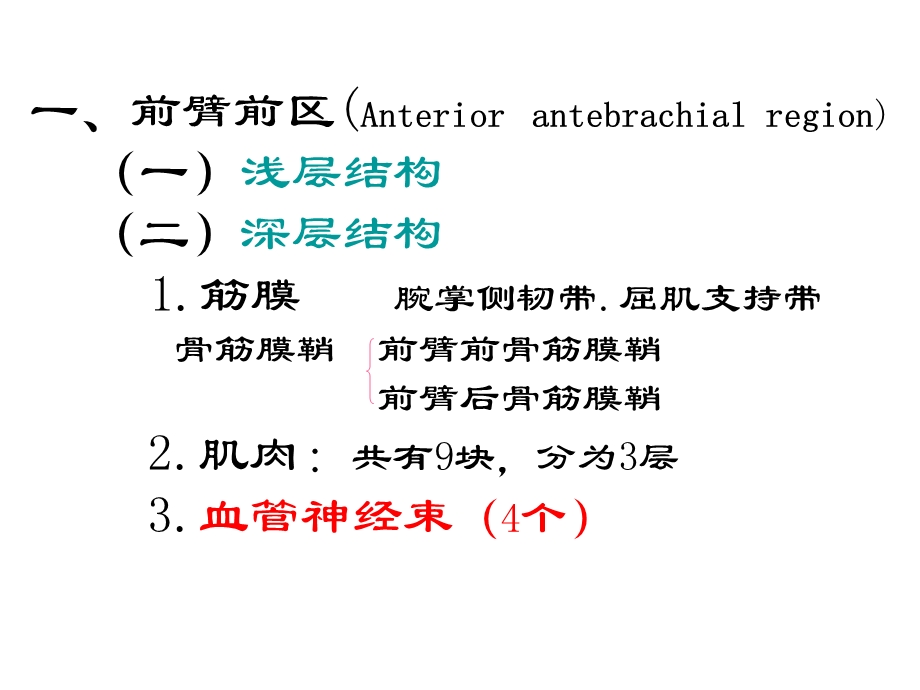 前臂与手局部解剖.ppt_第2页