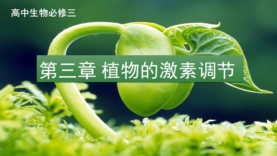 植物生长素的发现(优秀公开课).ppt_第1页