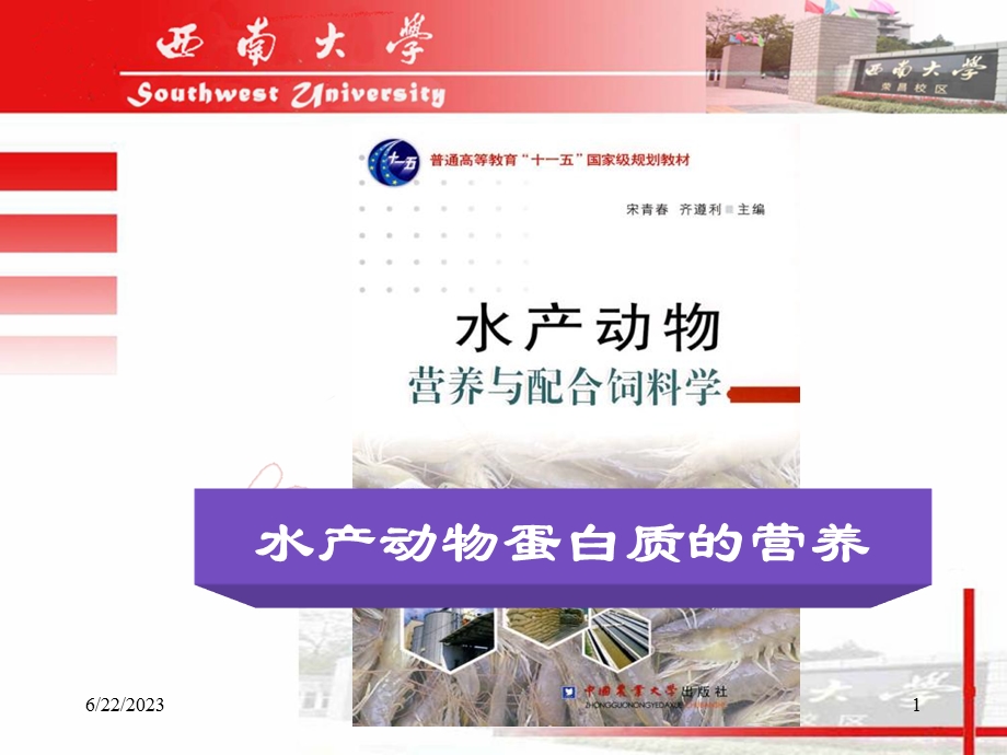 水产动物蛋白质的营养.ppt_第1页