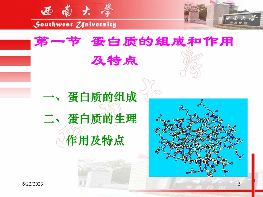 水产动物蛋白质的营养.ppt_第3页