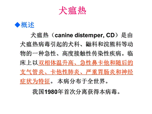 犬猫重要疫病防治.ppt