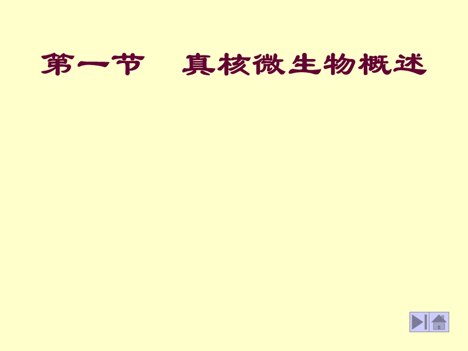 真核微生物的形态、构造.ppt_第2页