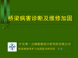 桥梁病害诊断好.ppt