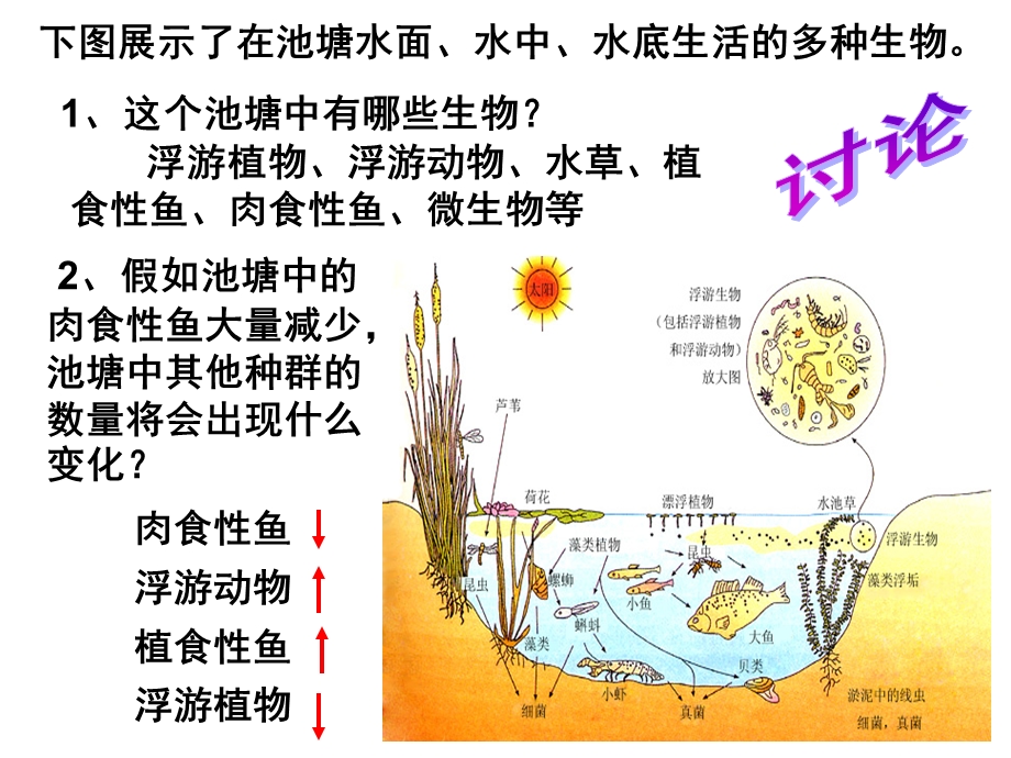 群落的结构(文)生物必修.ppt_第3页