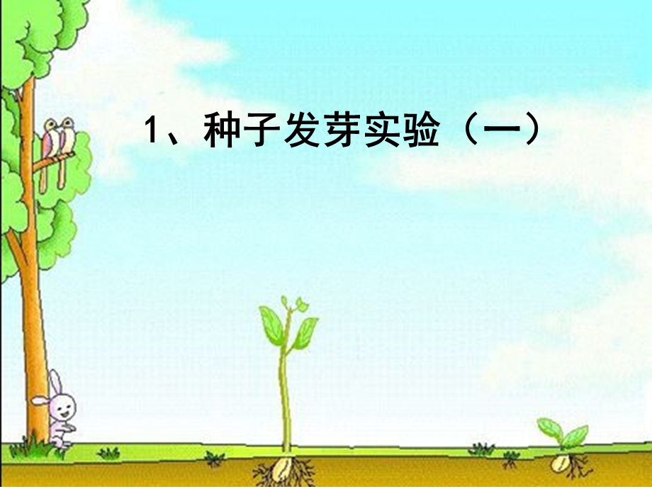 种子发芽试验(一).ppt_第1页