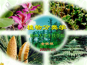 植物系统与分类学.ppt