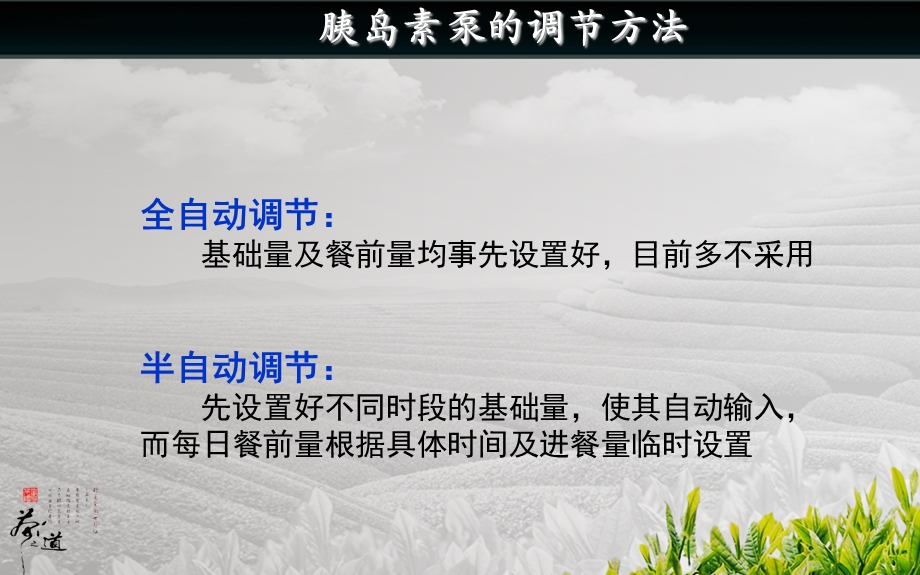 胰岛素泵剂量调节(全).ppt_第3页