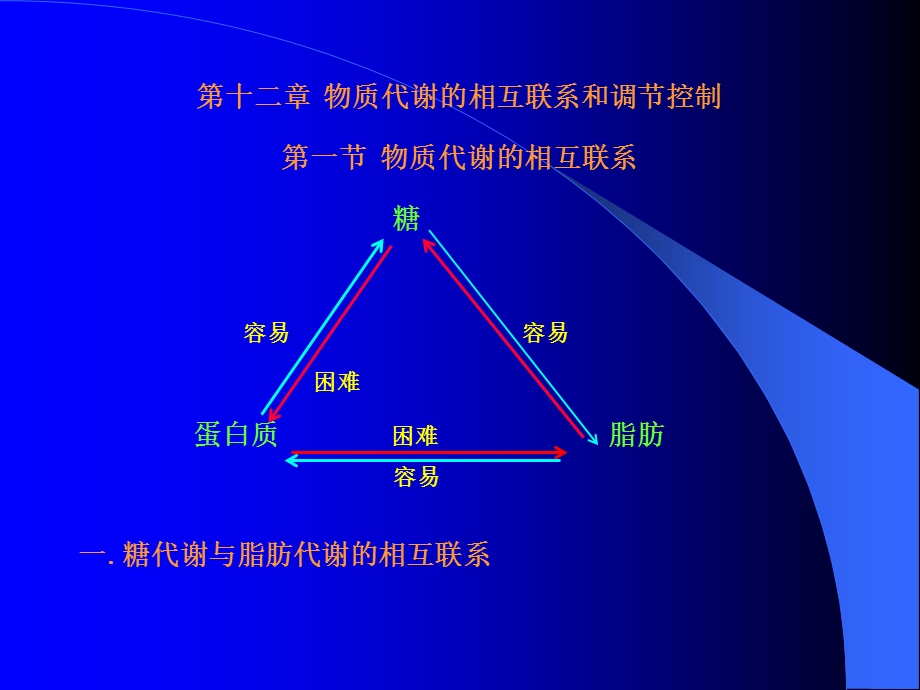 生化联系与调控.ppt_第1页