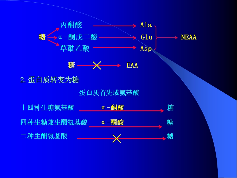 生化联系与调控.ppt_第3页