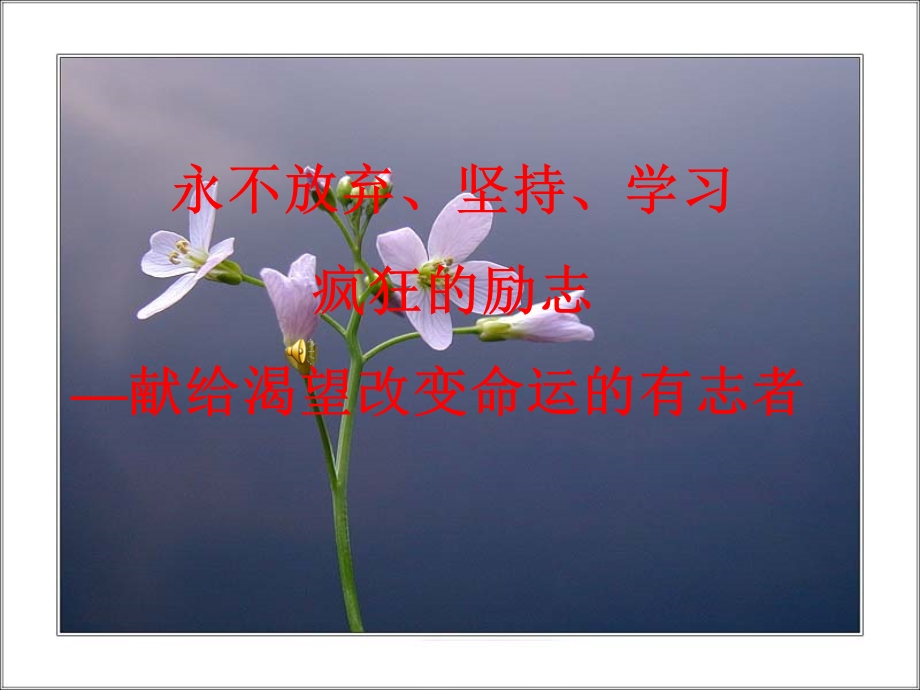 销售人员励志演讲.ppt_第1页