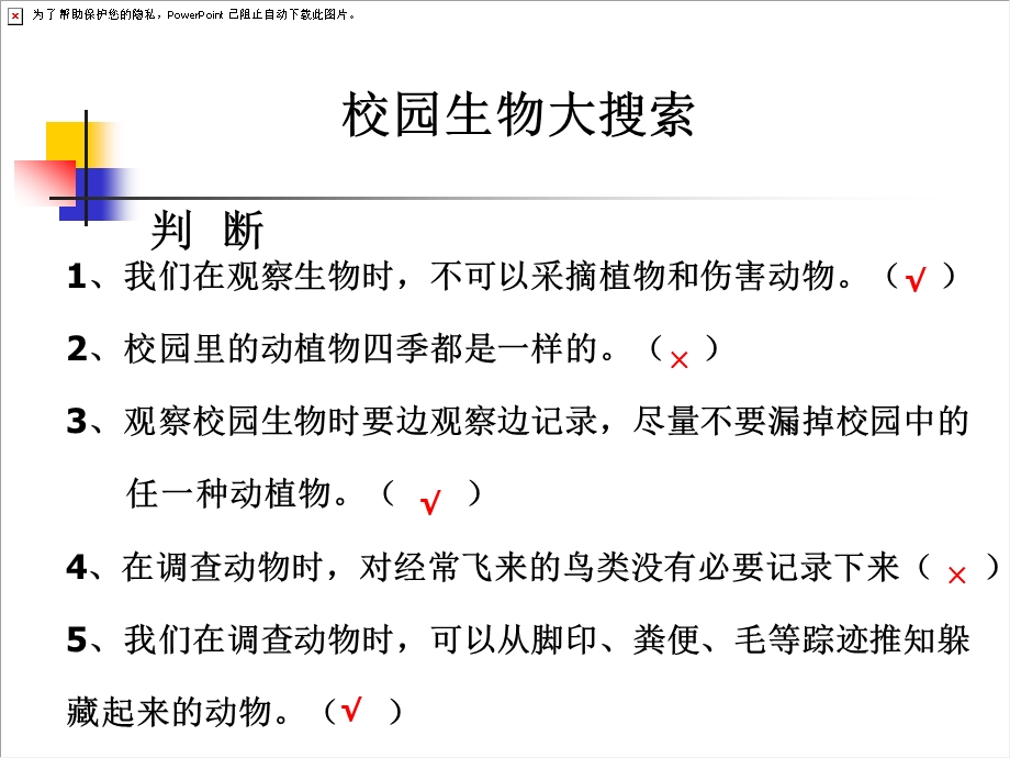 教科版科学六上能量与太阳课件.ppt_第3页