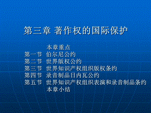 著作权的国际保护.ppt