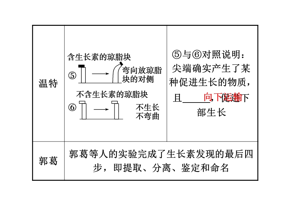 植物激素的调节.ppt_第2页