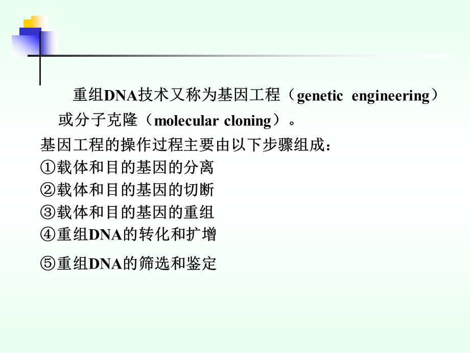 重组DNA技术精简.ppt_第2页