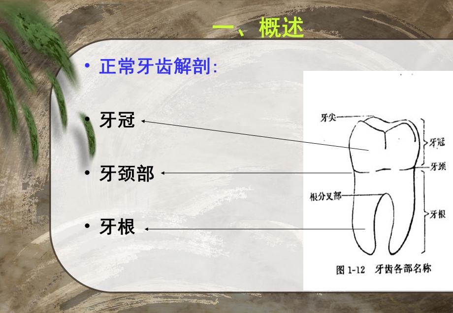 龋病和龋病预防.ppt_第3页