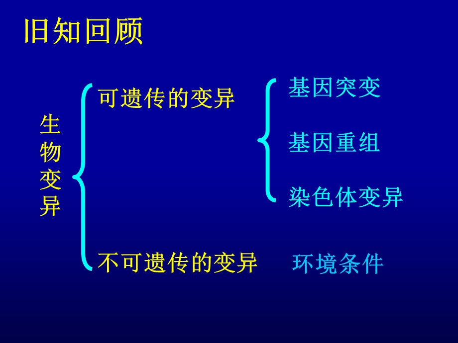 染色体变异正式.ppt_第2页