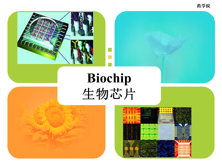 生物芯片综述报告.ppt_第1页