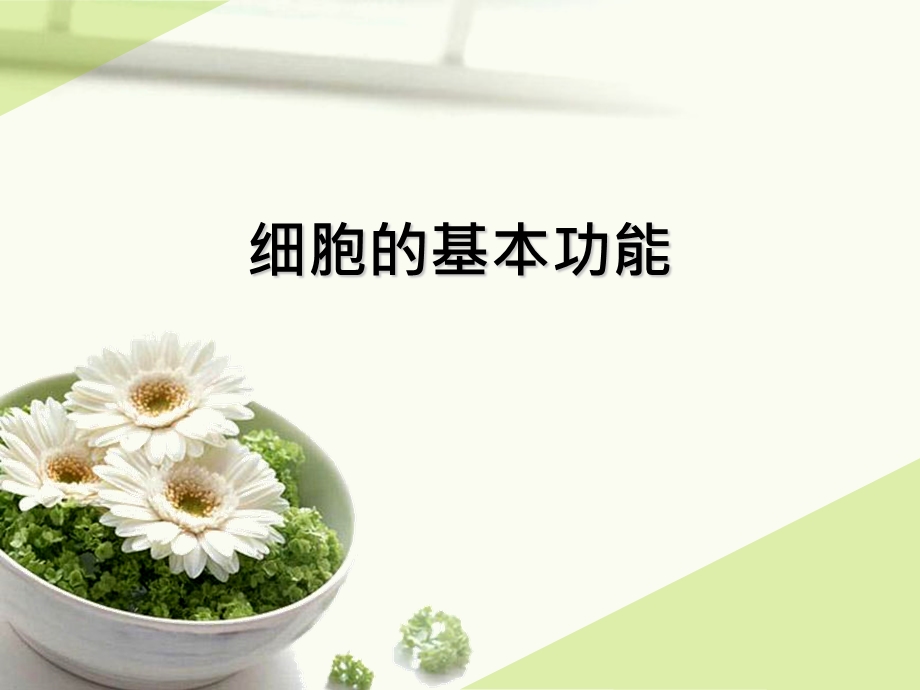 细胞的生理功能.ppt_第1页