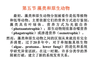 藻类和原生动物.ppt