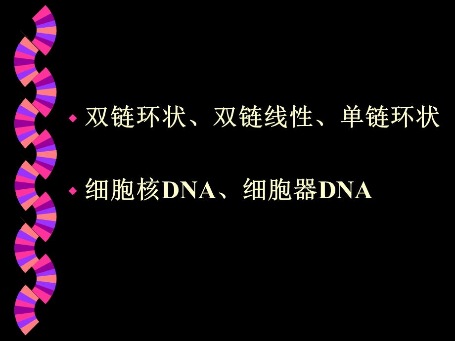 样本DNA纯化、保存方法.ppt_第3页