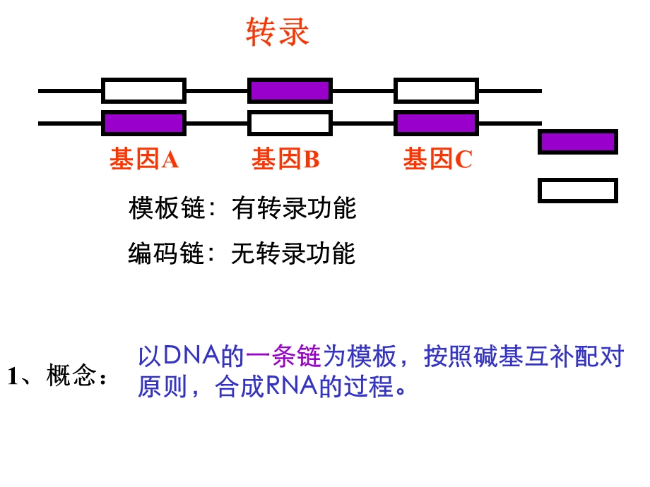 基因表达FLJppt课件.ppt_第3页