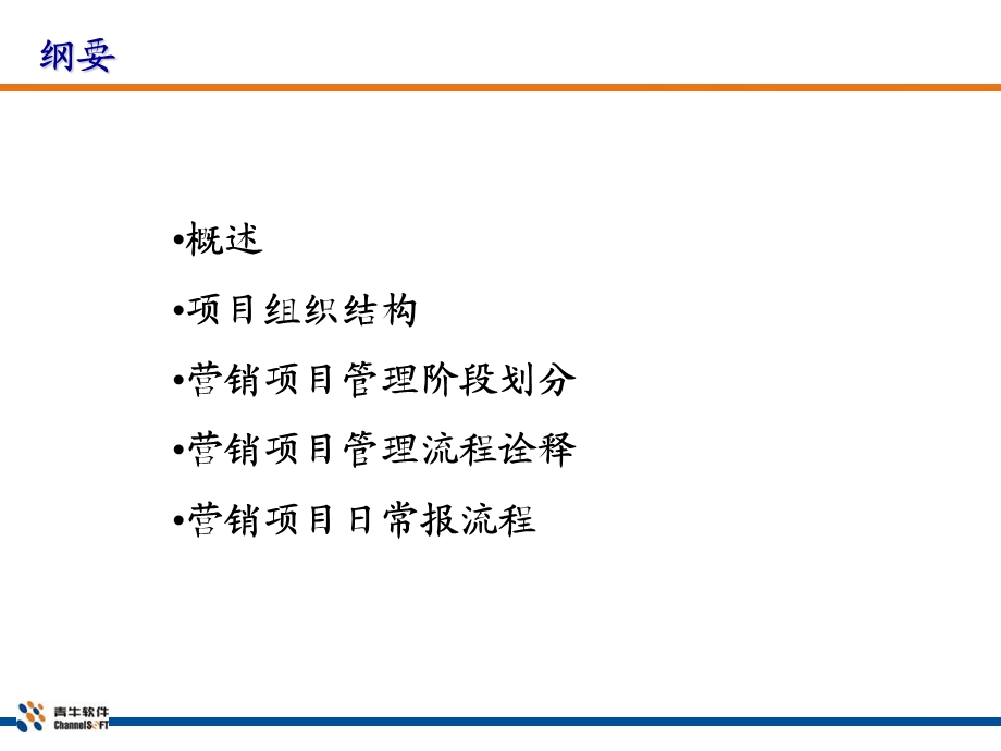 营销项目管理流程.ppt_第2页