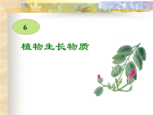 06生长物质.ppt