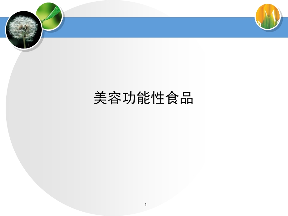 美容功能性食品.ppt_第1页