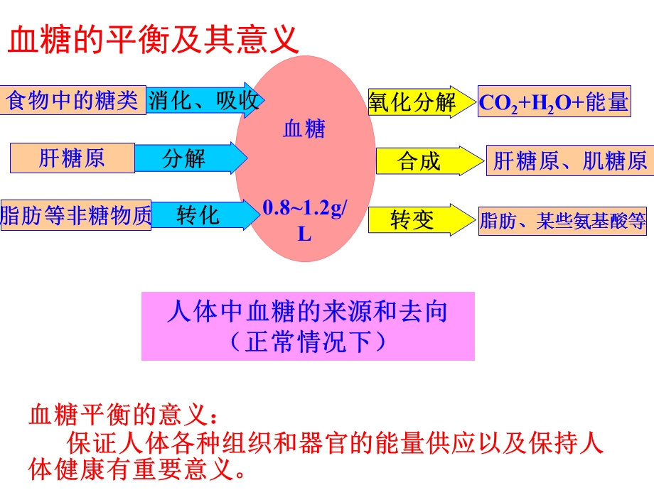 血糖调节的模型建构.ppt_第3页