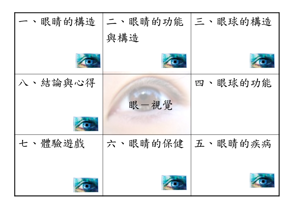 重要的视觉器官眼.ppt_第2页