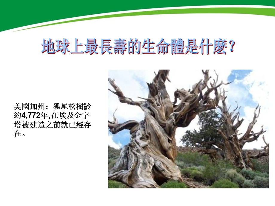 植物干细胞U植爱.ppt_第3页